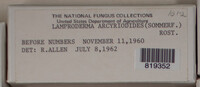 Image Associated With the Occurence